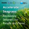 A new programme announced today by Climate Impact Partners and Deloitte, in collaboration with Project Seagrass, will channel critical funding to support seagrass restoration
