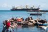 Fishing vessels and large cargo ships off Zanzibar