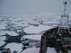 Sea ice