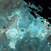 Near-true colour MODIS satellite image showing a coccolithophore (phytoplankton) bloom in the Iceland Basin (credit: NEODAAS/PML)